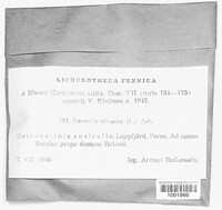 Image Associated With the Occurence